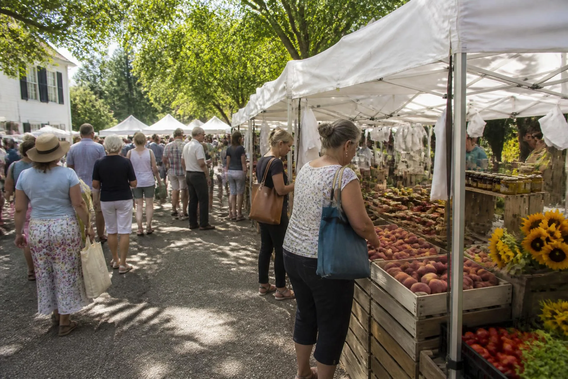 Saturday farmers market in downtown Waxhaw